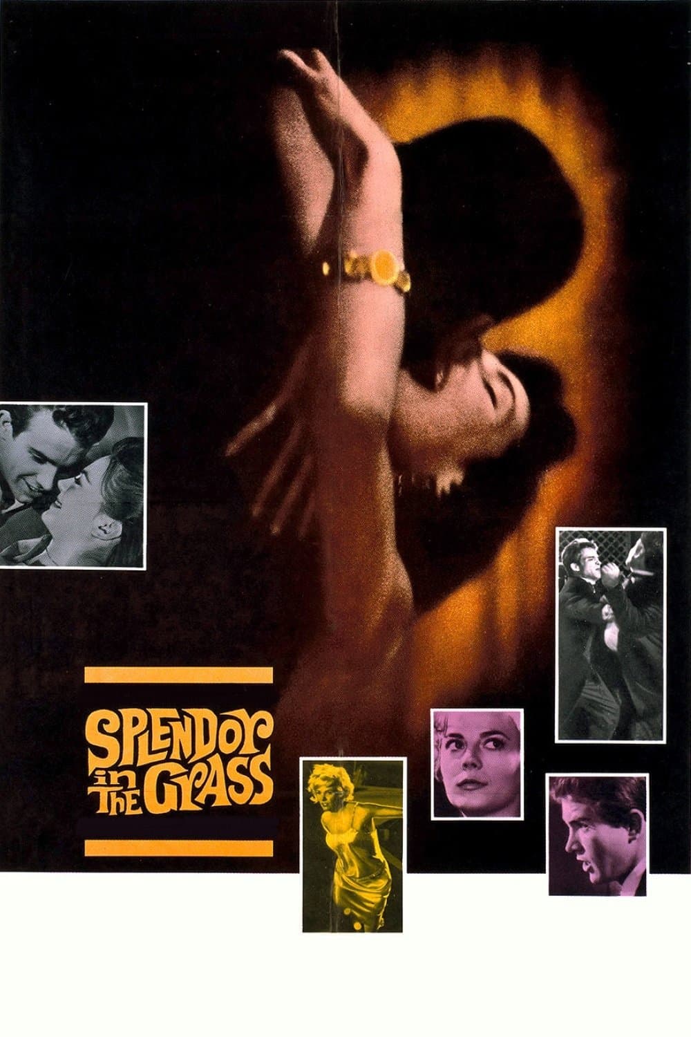 Splendor in the Grass photo