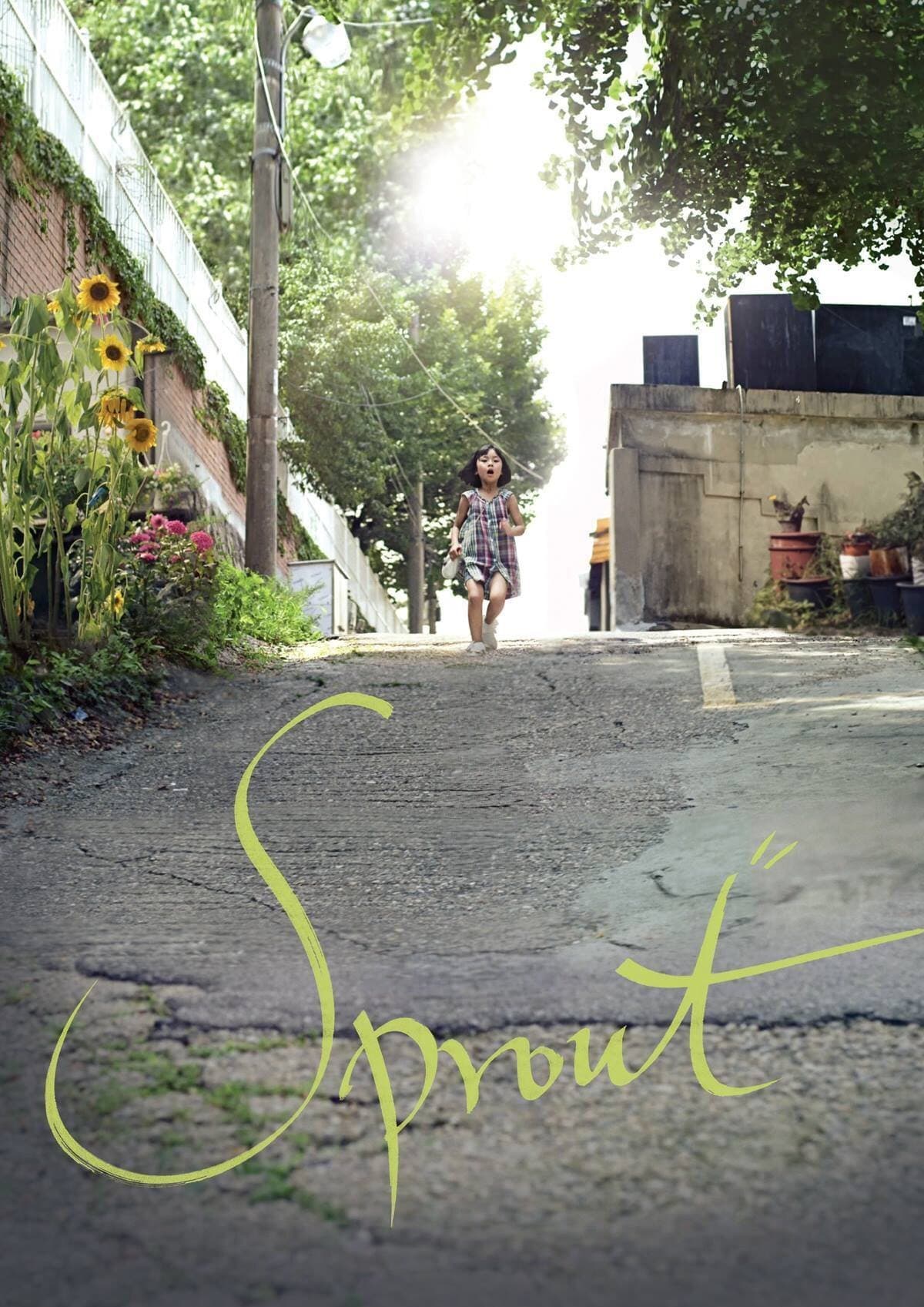 Sprout photo