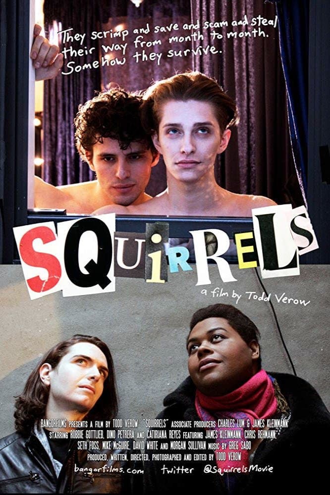 Squirrels photo