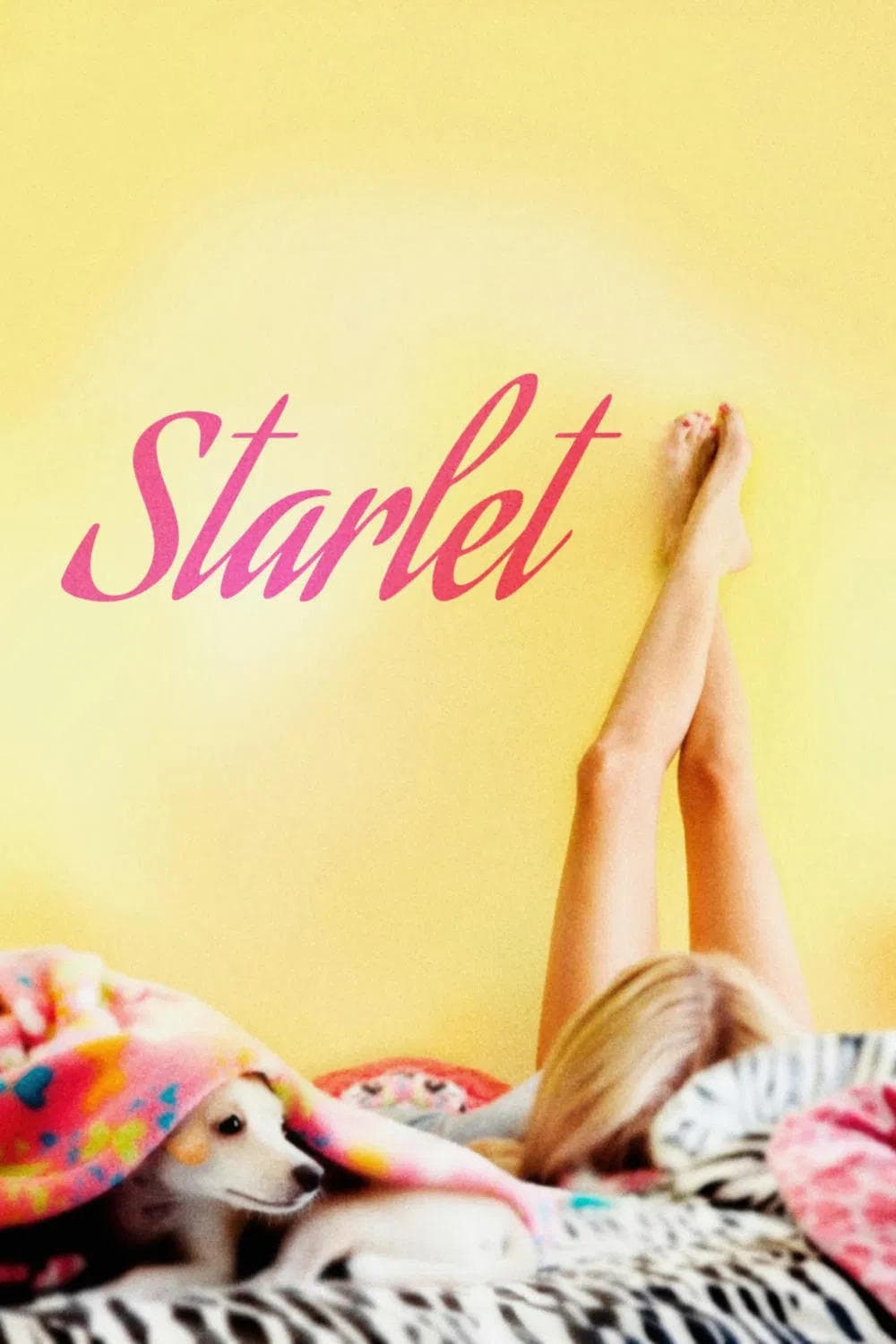 Starlet photo