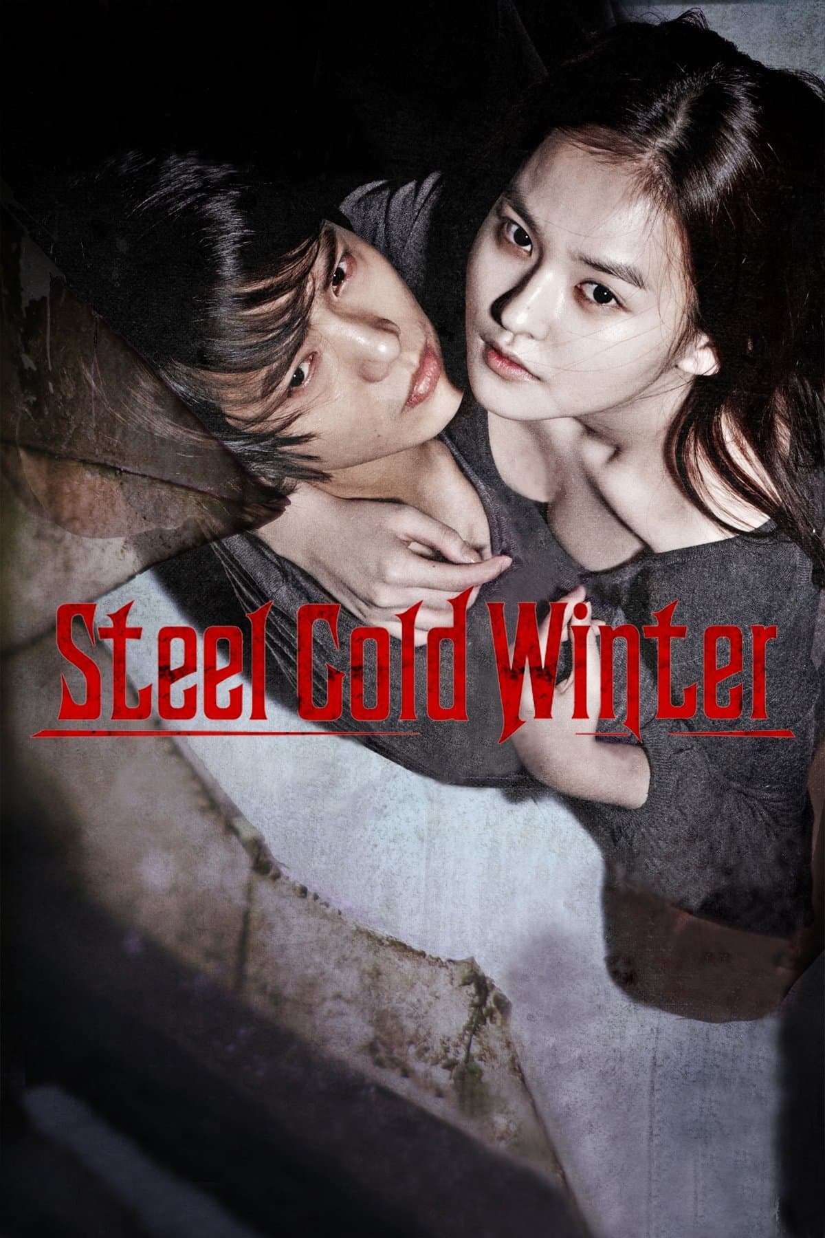 Steel Cold Winter photo