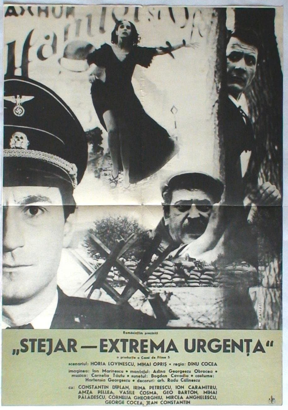 Stejar, extremă urgență photo