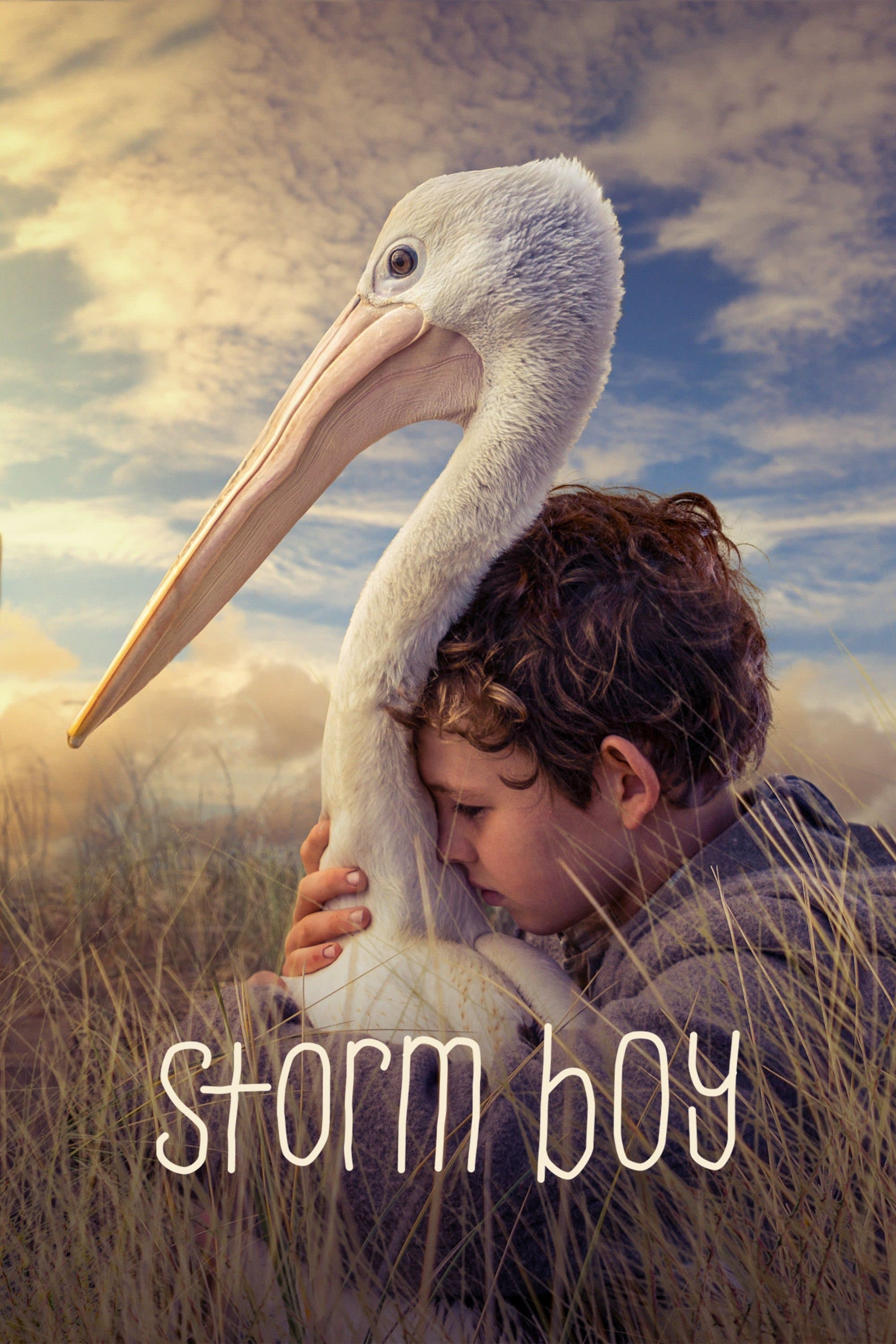 Storm Boy photo
