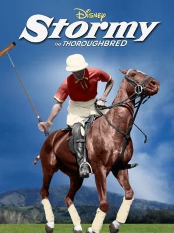 Stormy, the Thoroughbred photo