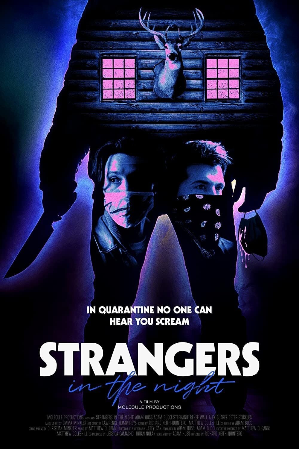Strangers in the Night photo