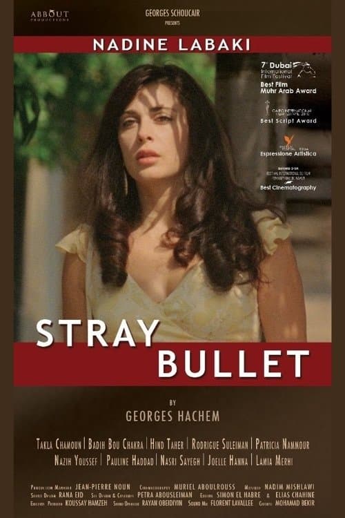 Stray Bullet photo