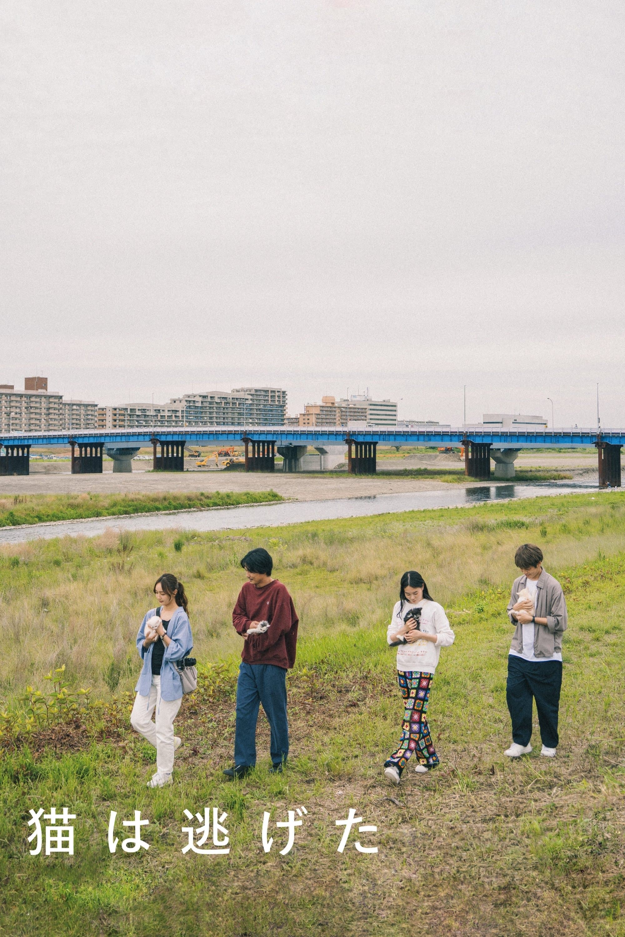Straying photo