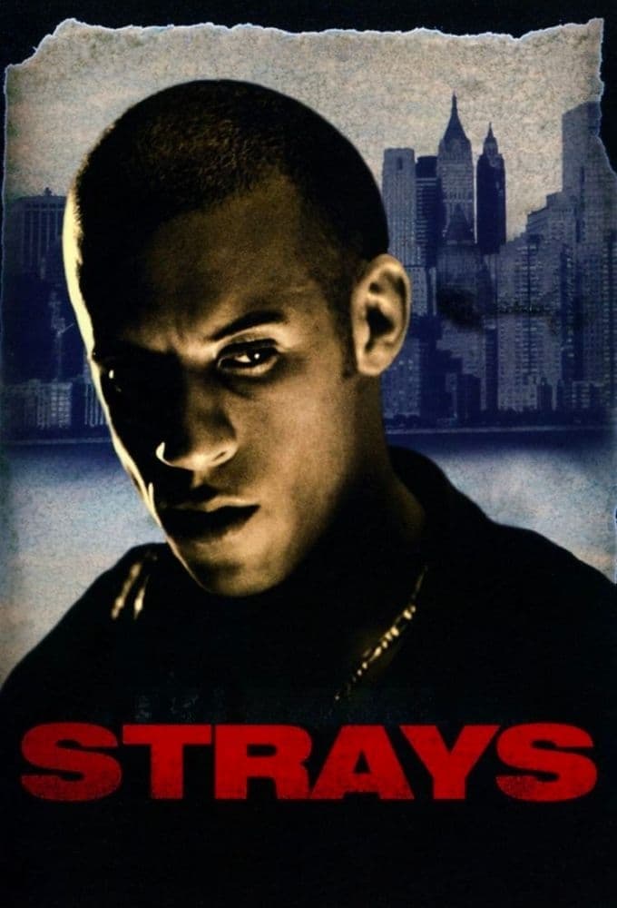 Strays photo