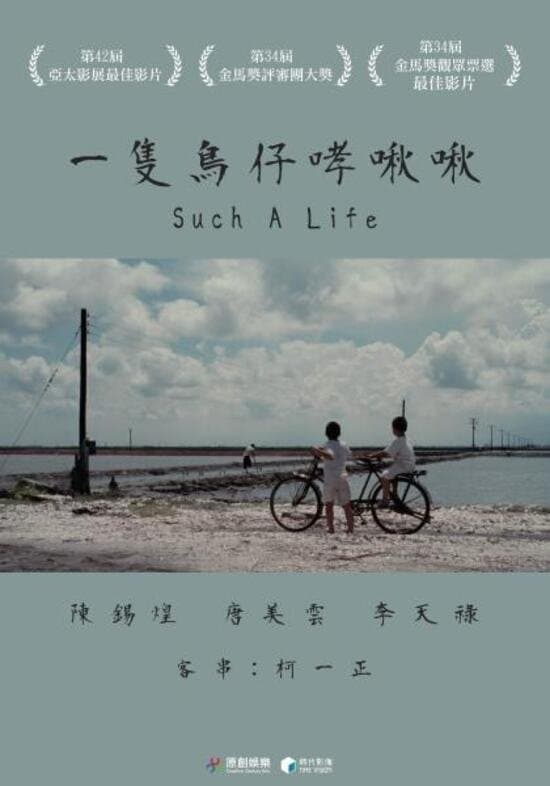 Such a life photo