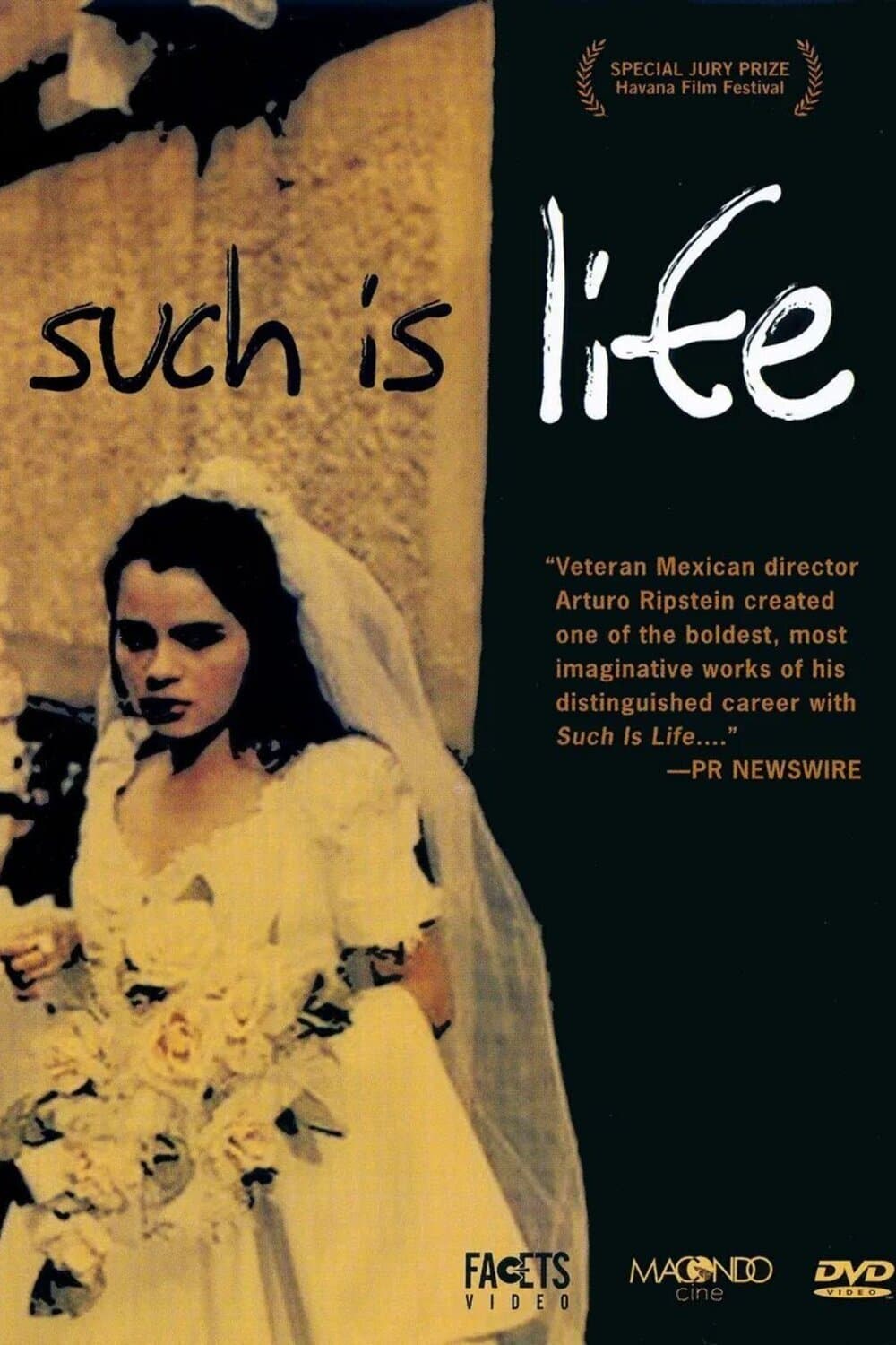 Such is Life photo