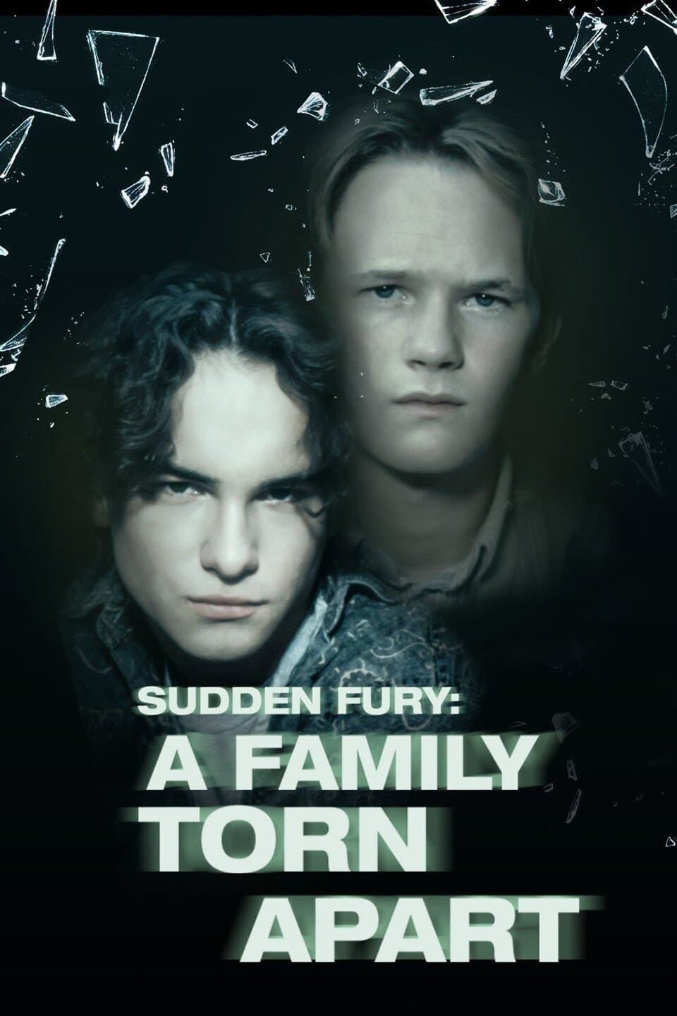 Sudden Fury photo