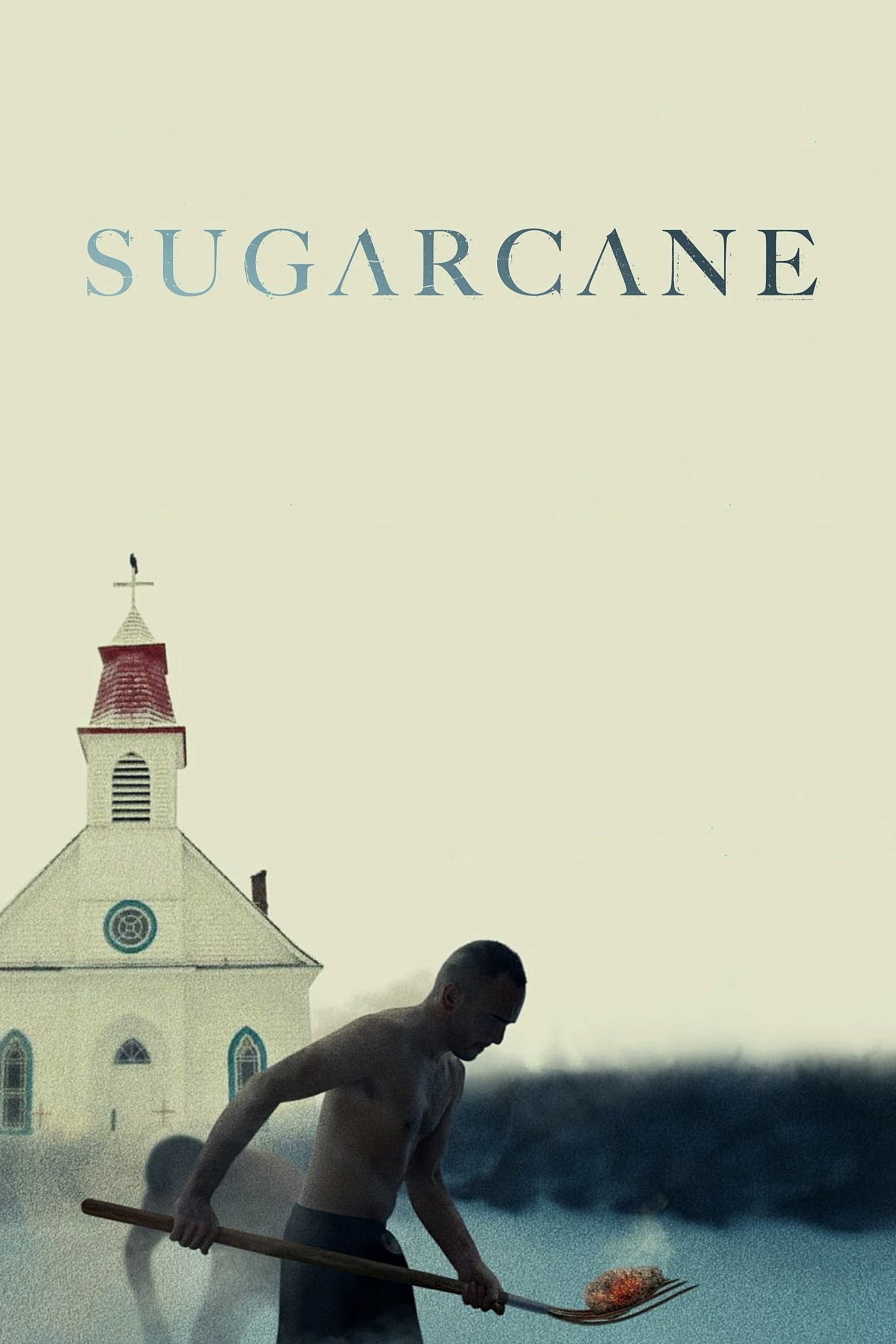Sugarcane photo