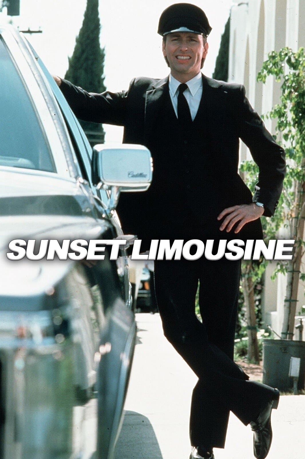 Sunset Limousine photo