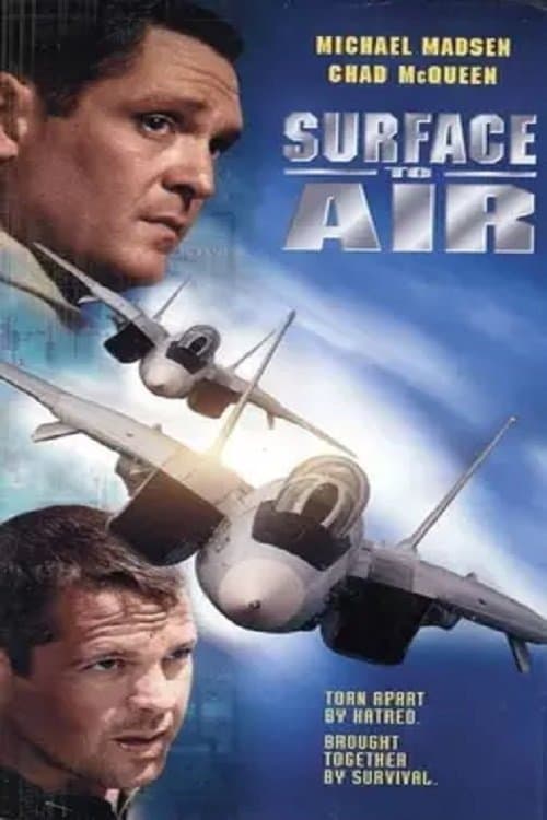 Surface to Air photo
