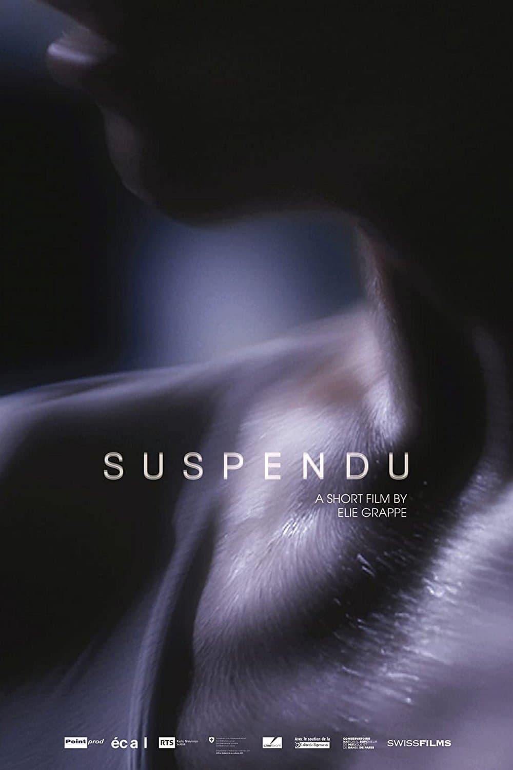 Suspendu photo