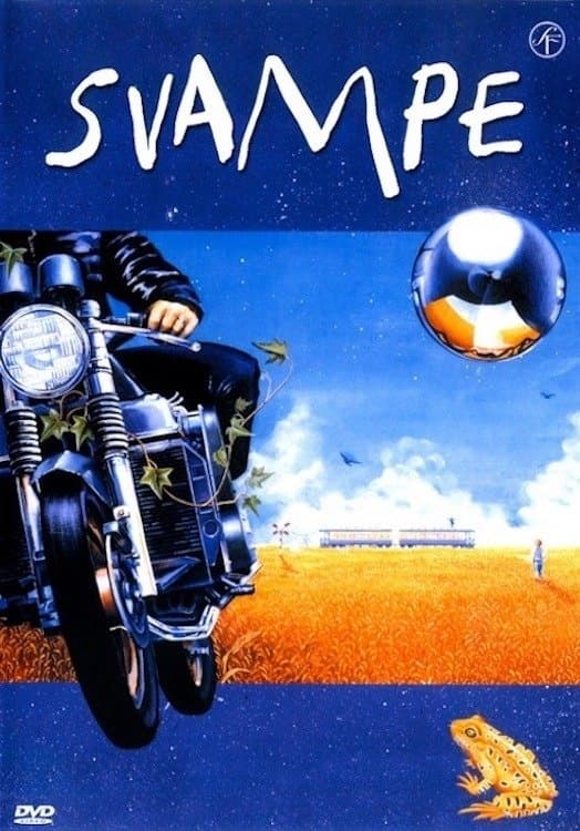 Svampe photo