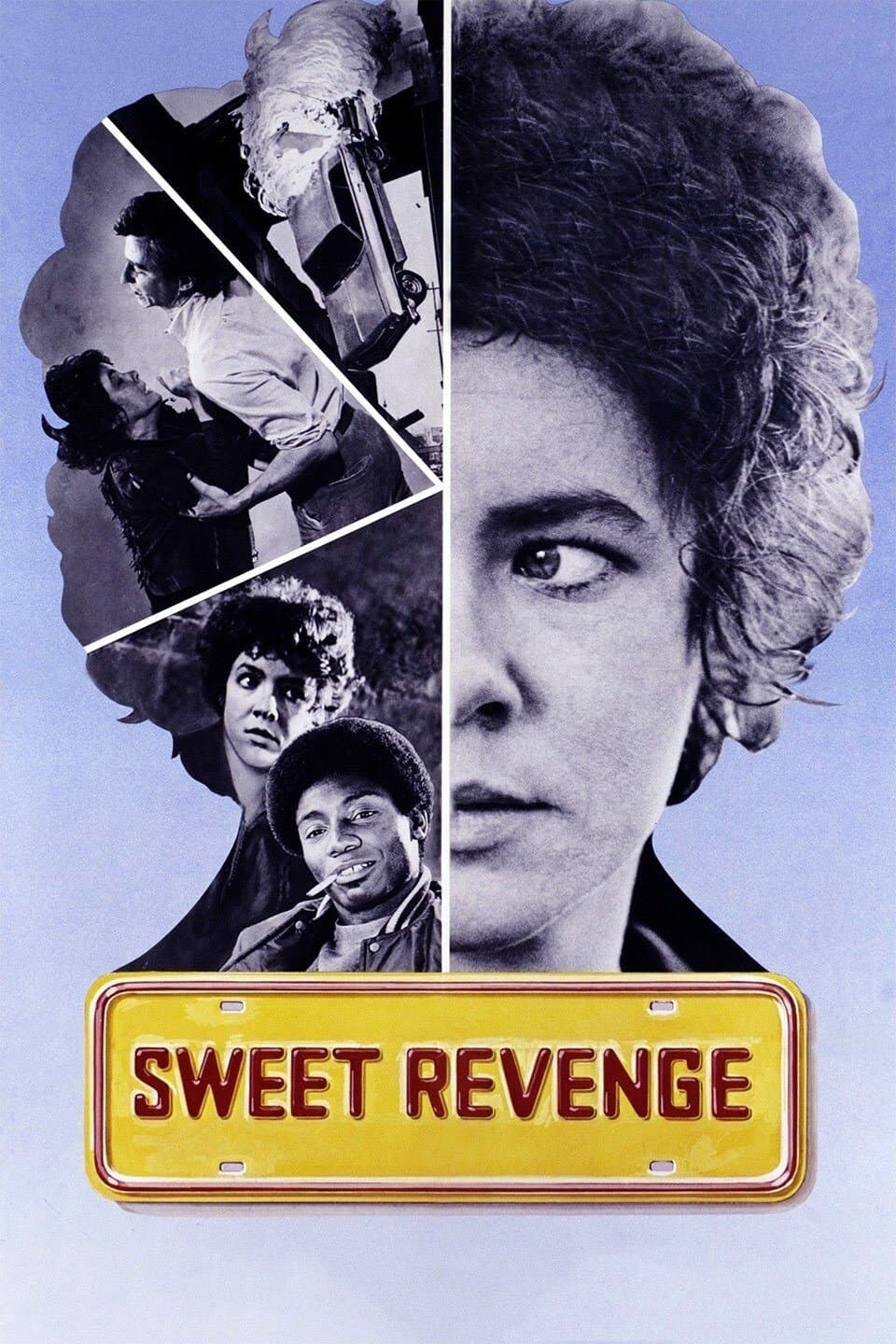 Sweet Revenge photo