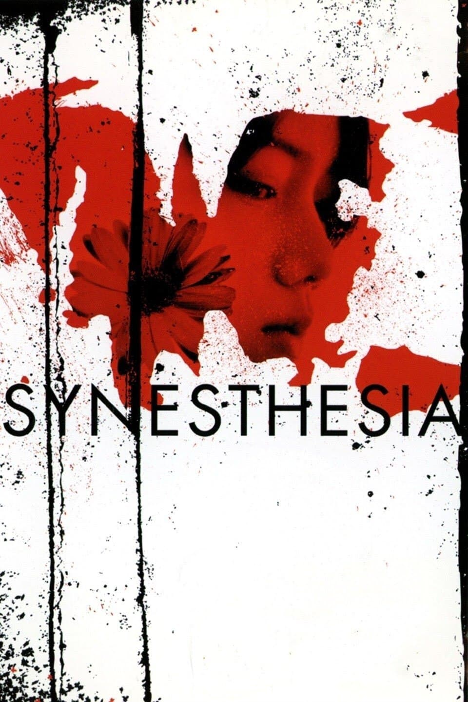 Synesthesia photo