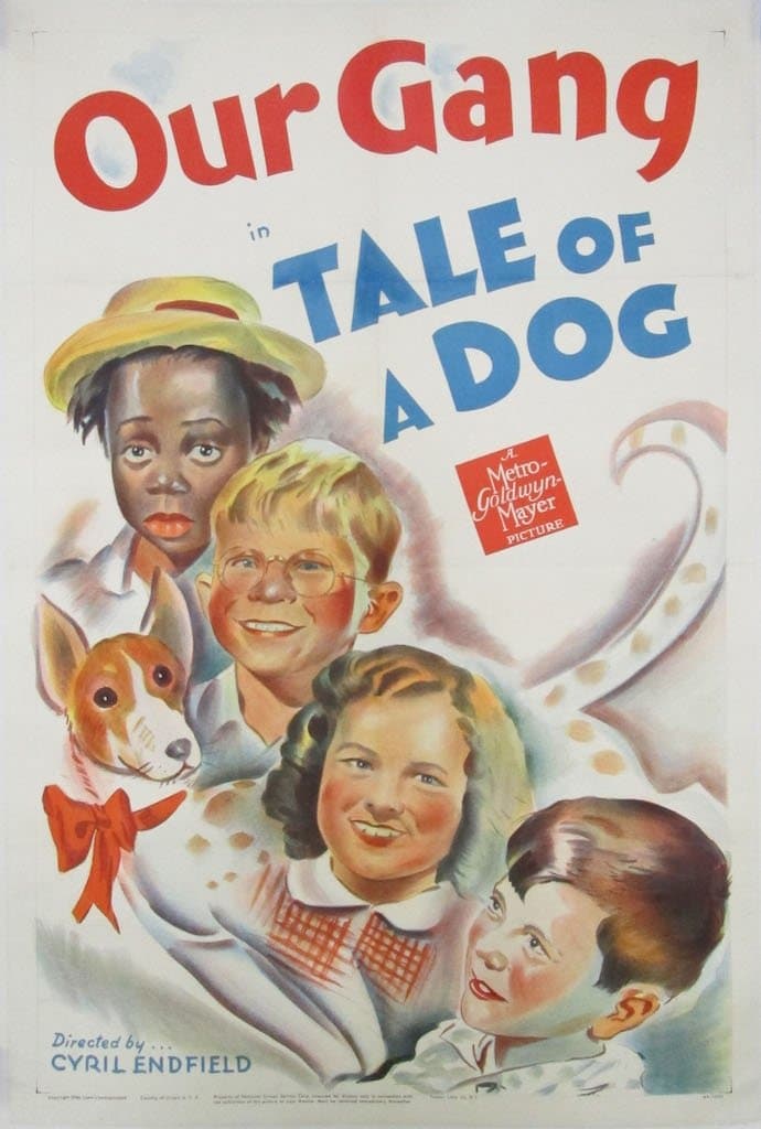Tale of a Dog photo