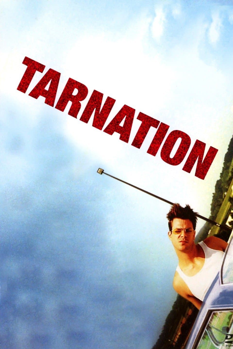 Tarnation photo