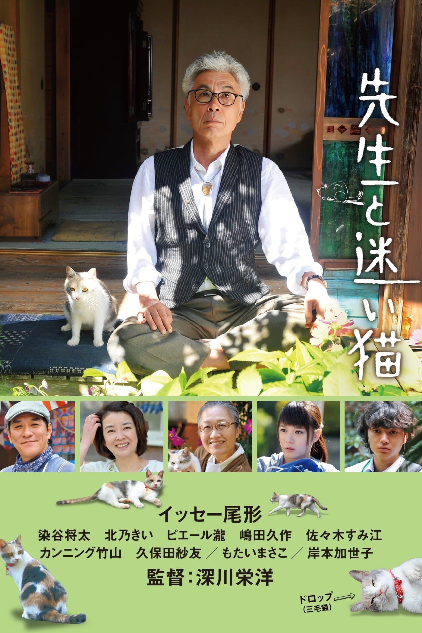 Teacher and Stray Cat photo