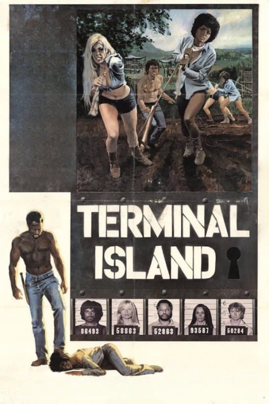Terminal Island photo