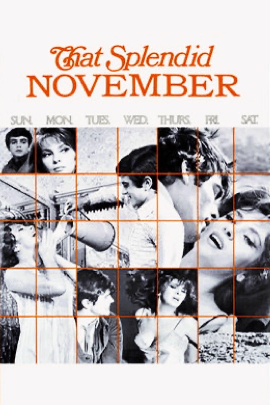 That Splendid November photo