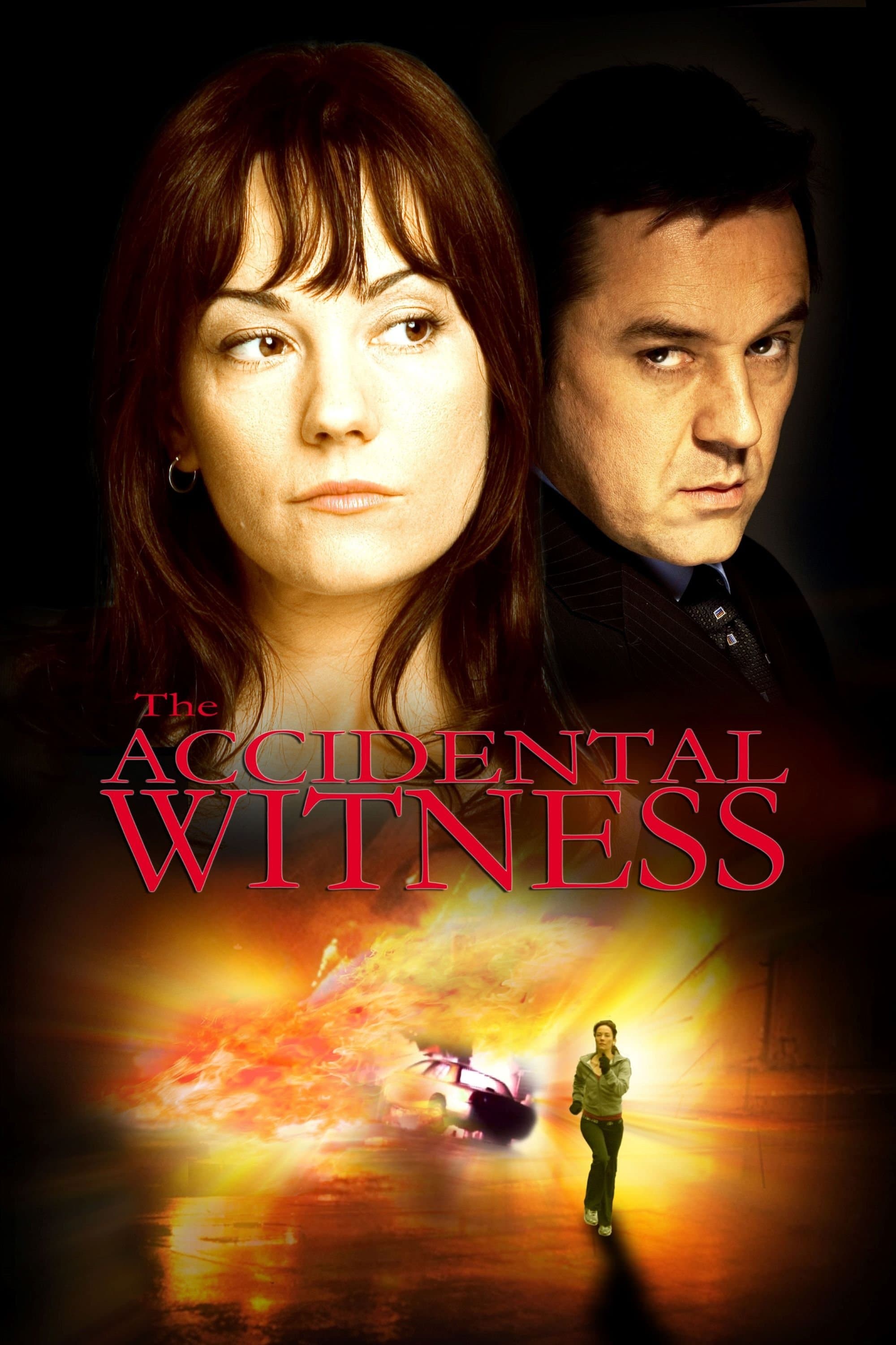 The Accidental Witness photo
