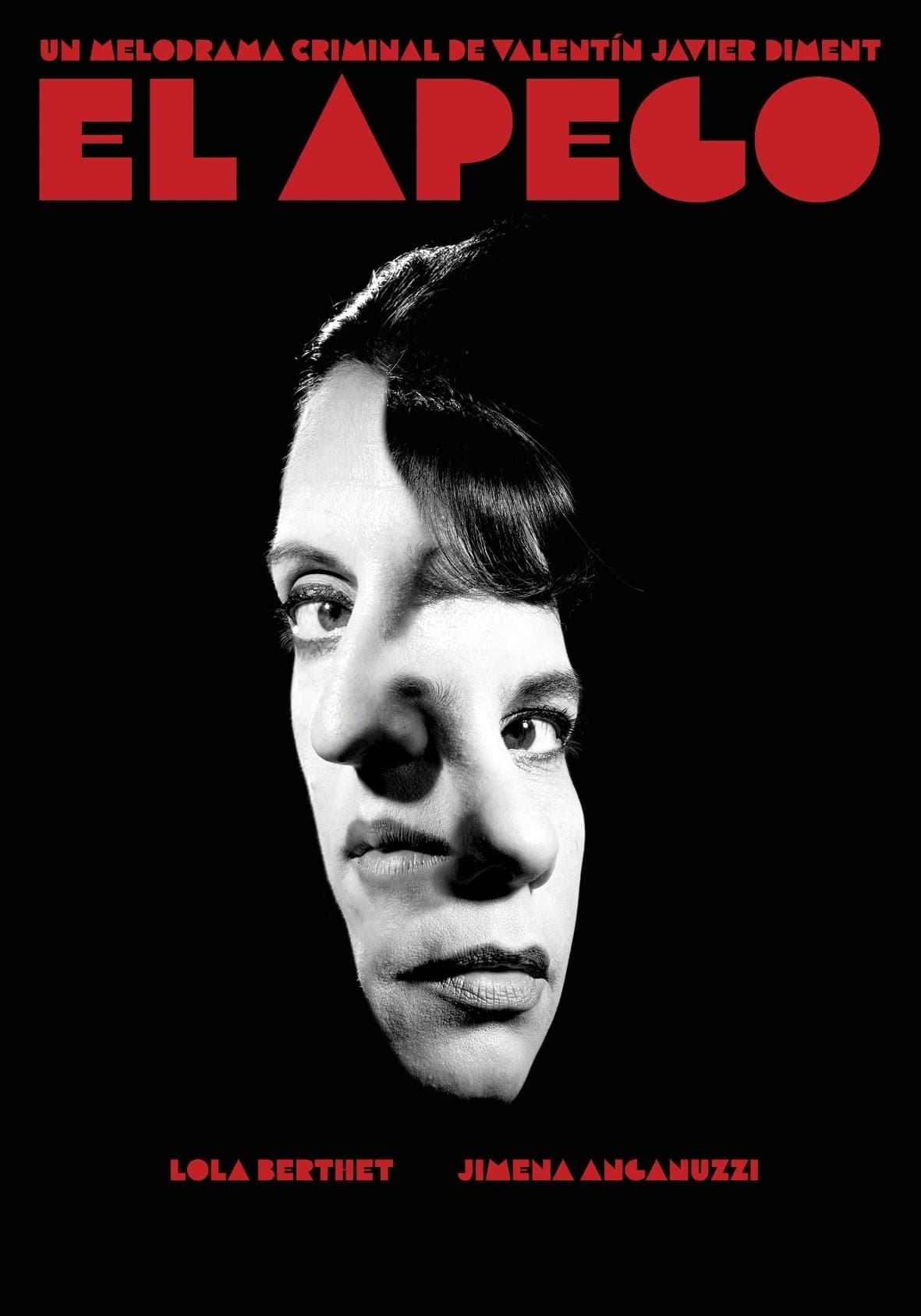 The Attachment Diaries photo