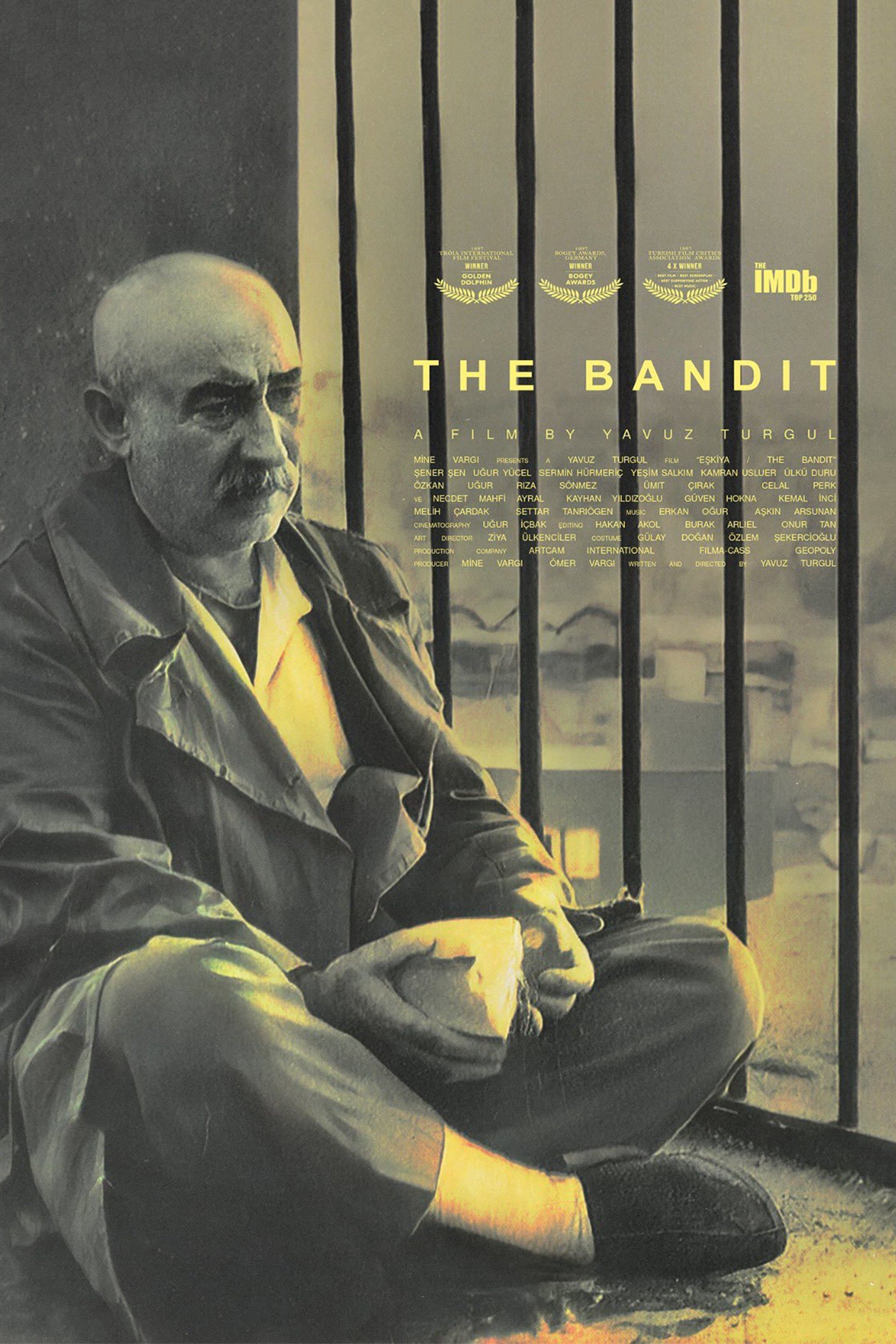 The Bandit photo