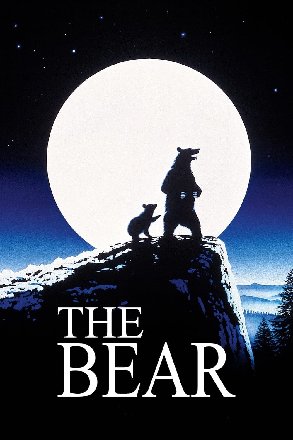 The Bear photo