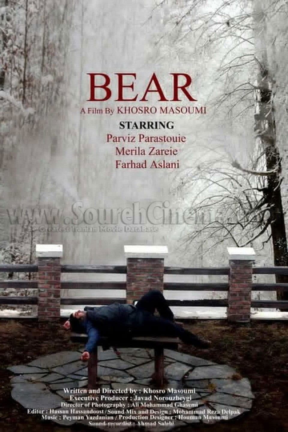 The Bear photo