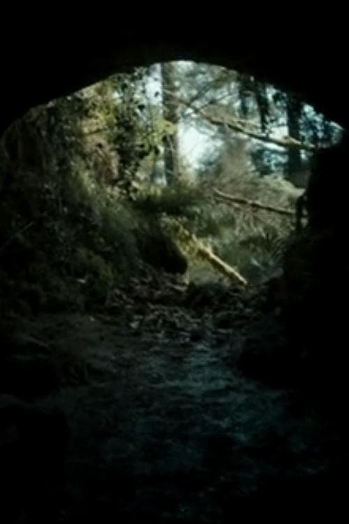 The Beast photo