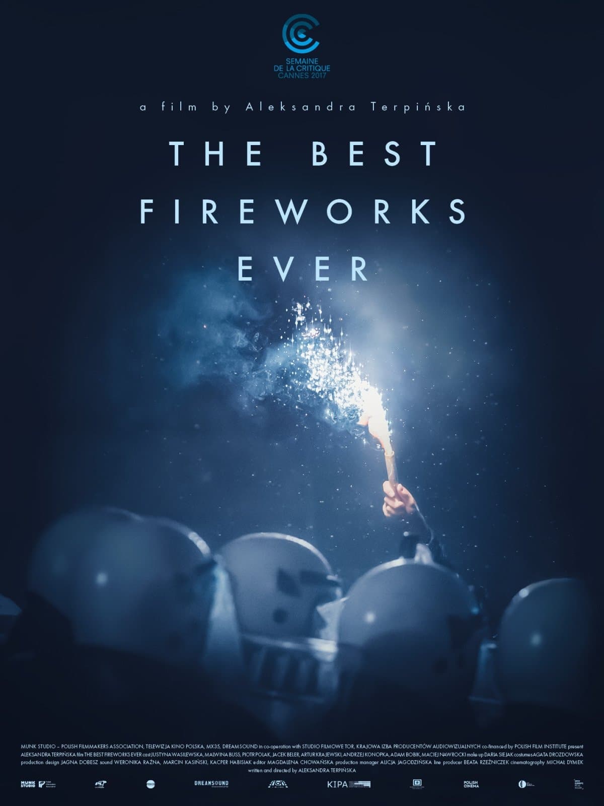 The Best Fireworks Ever photo