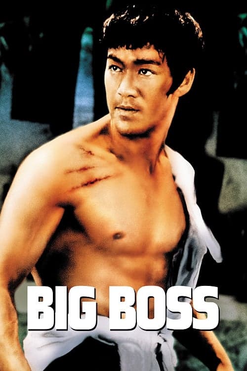 The Big Boss photo