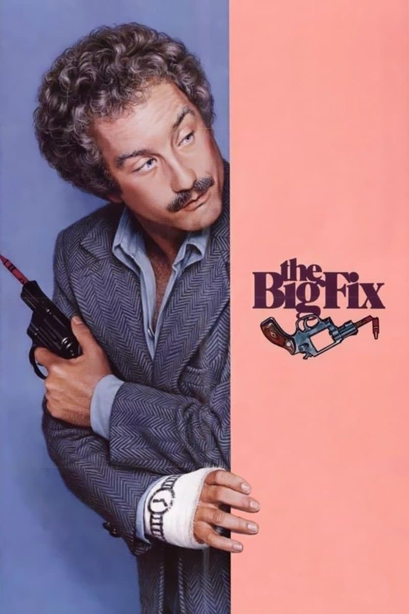 The Big Fix photo