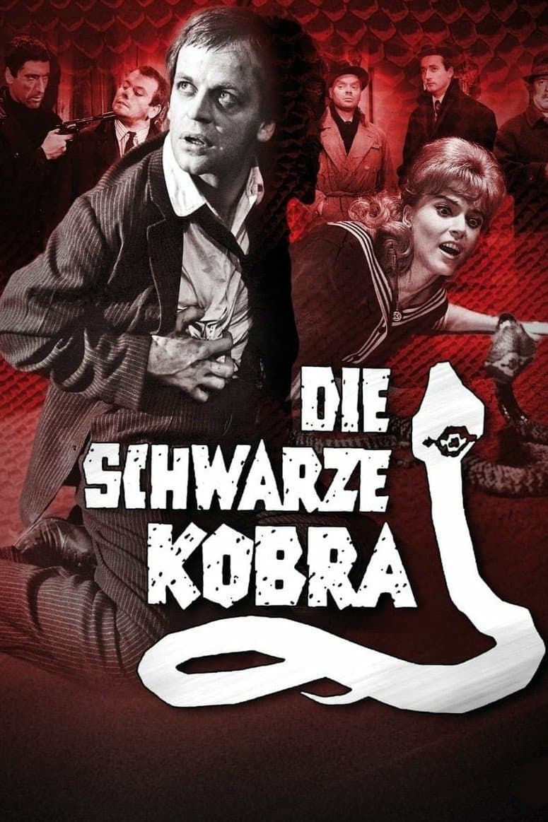 The Black Cobra photo