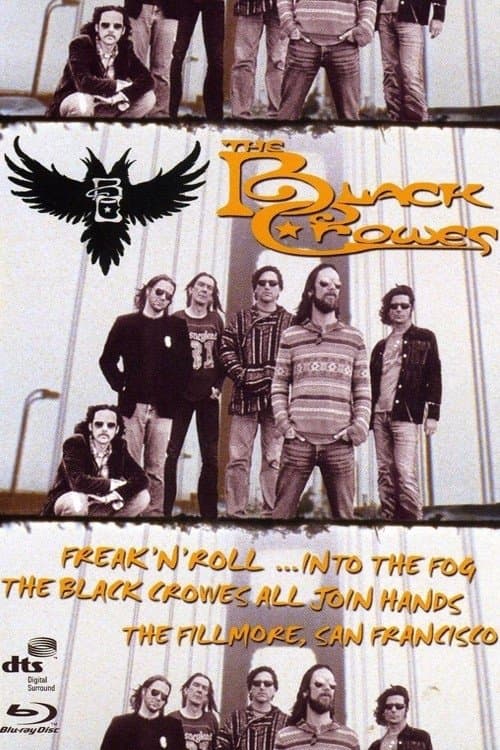 The Black Crowes - Freak 'n' Roll... Into the Fog photo