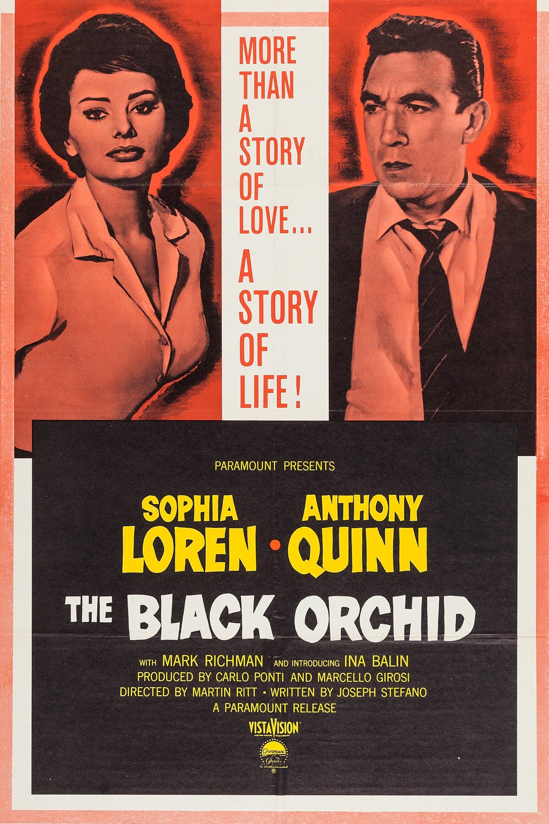 The Black Orchid photo