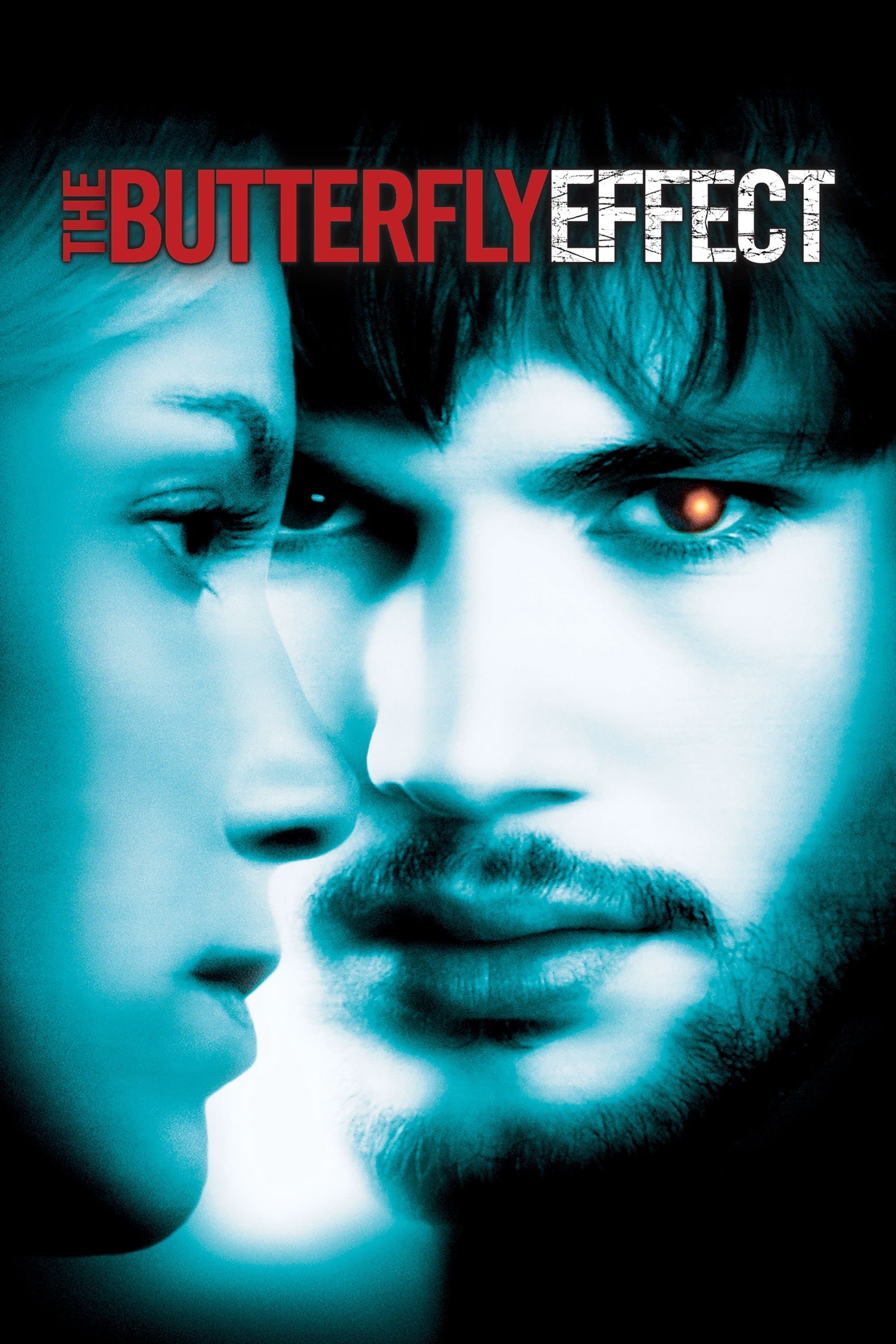 The Butterfly Effect photo