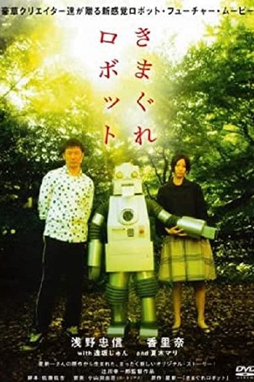 The Capricious Robot photo