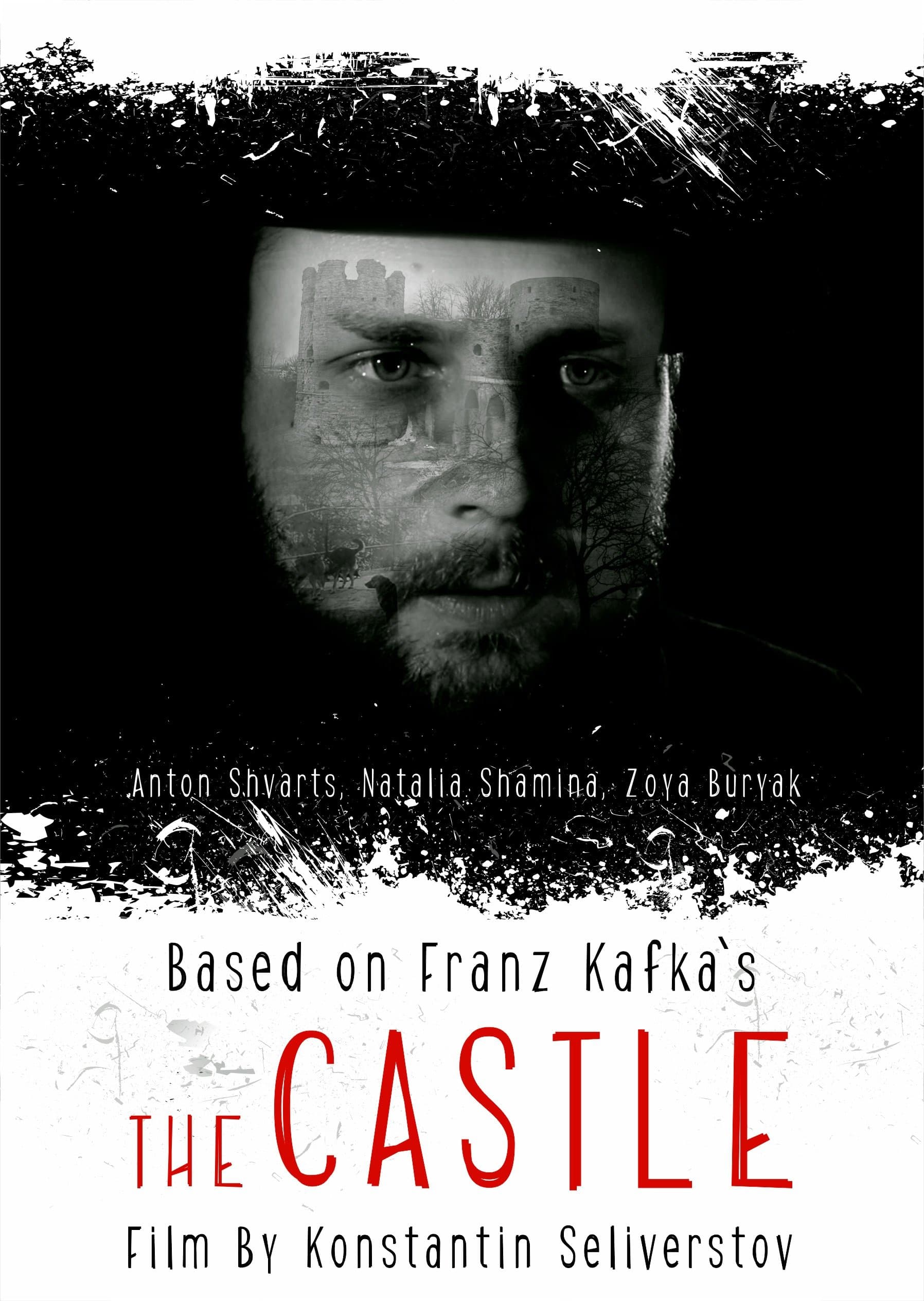 The Castle photo