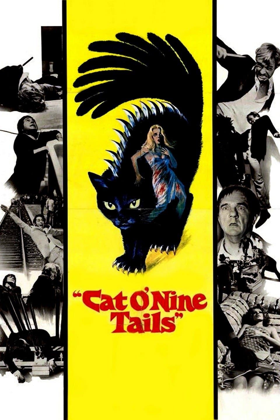 The Cat o' Nine Tails photo