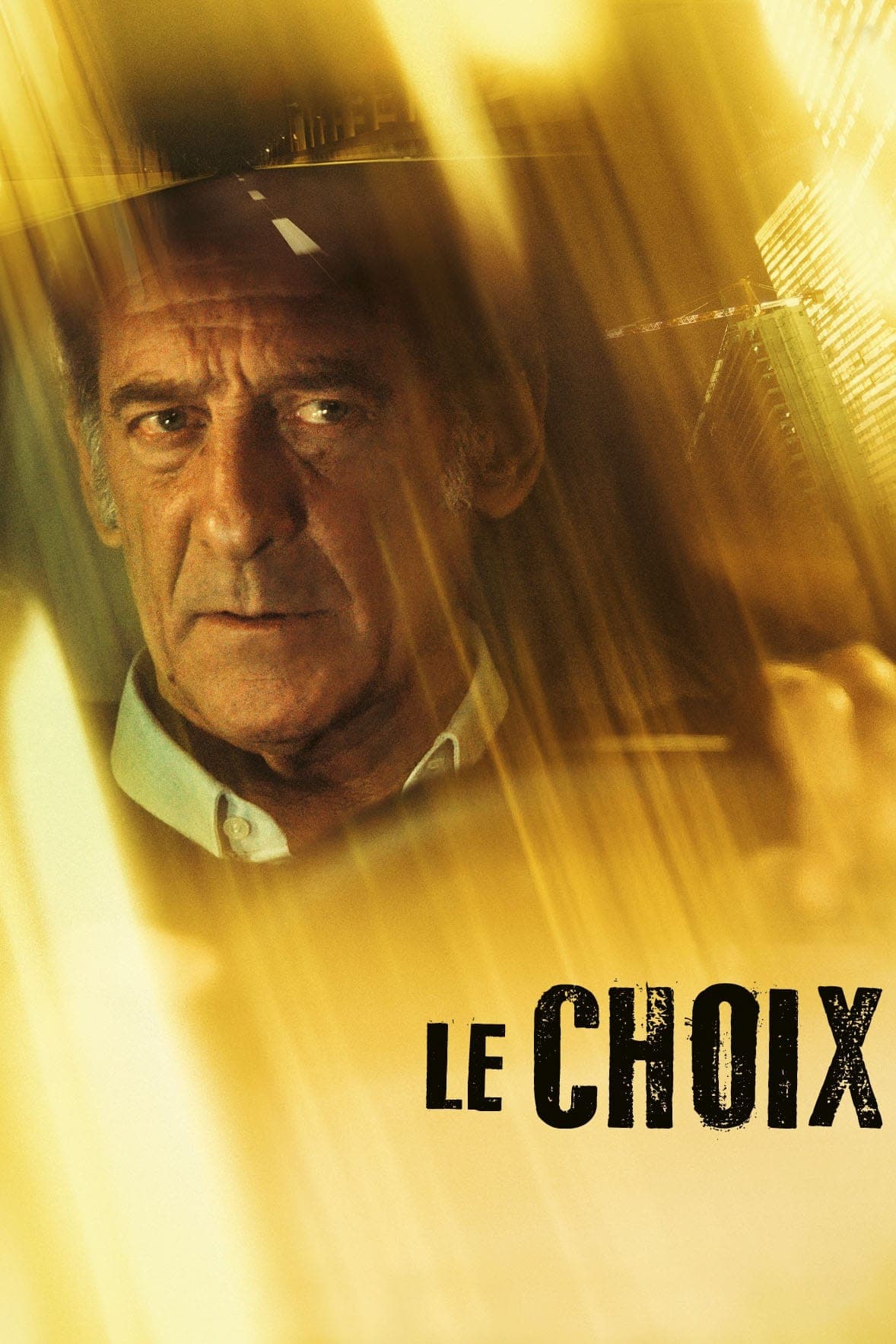 The Choice photo