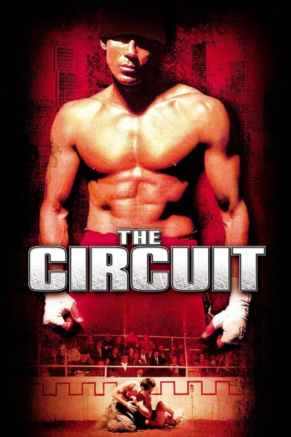 The Circuit photo