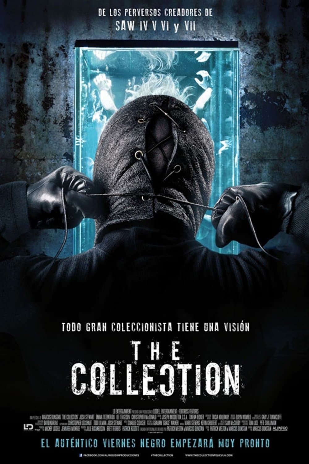 The Collection photo