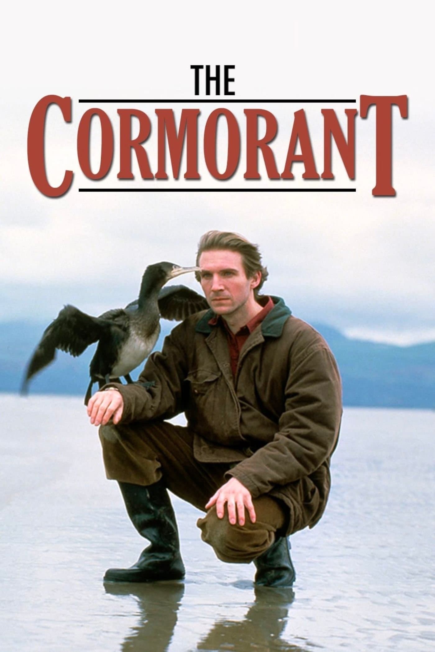 The Cormorant photo