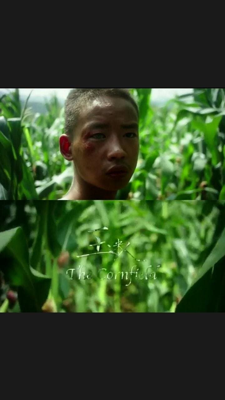 The Cornfield photo