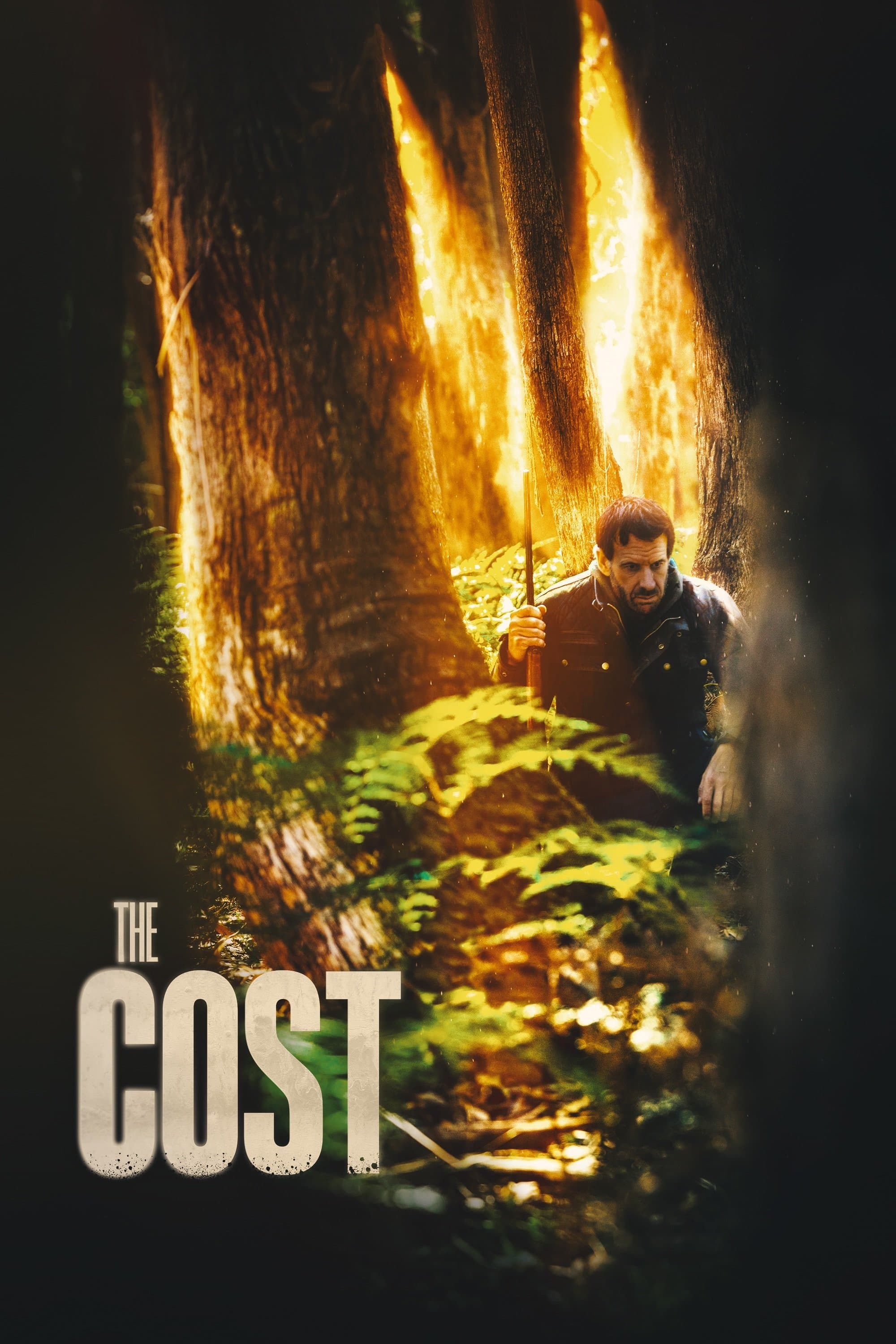 The Cost photo