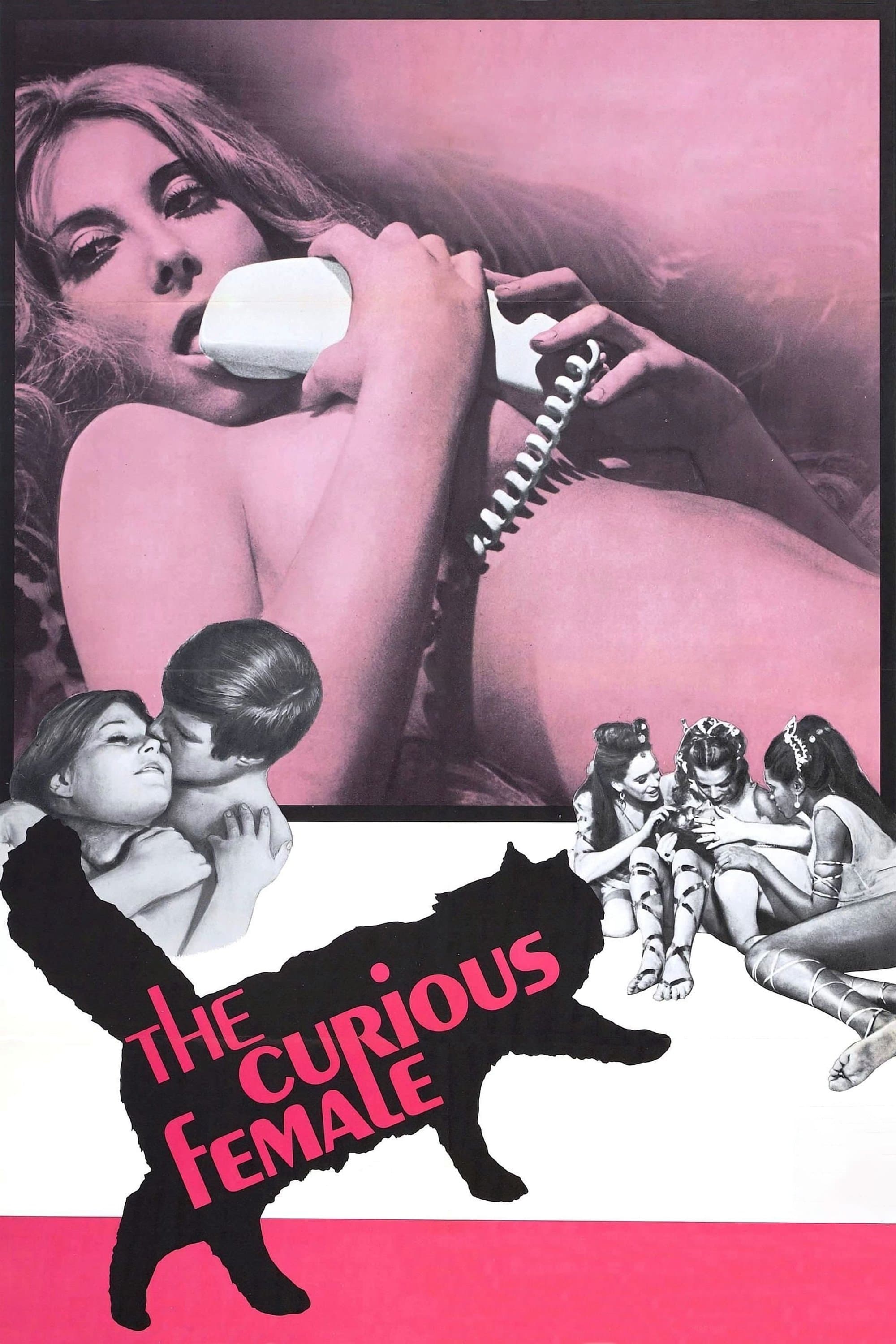 The Curious Female photo